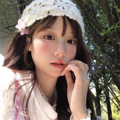 森林里的熊先生